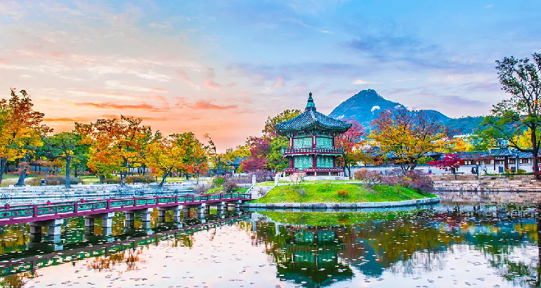 Explore the Wonders of South Korea!!